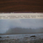 Aki Sirkesalo: Sanasta miestä CD - pikkukuva 2