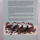 Jon Fjeldså : Birds of the high Andes - pikkukuva 2