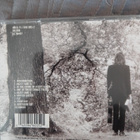 Nick Drake: Bryter Layter - pikkukuva 2