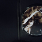 Sam Raimi: EVIL DEAD dvd - pikkukuva 3