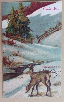 Kauriit joen rannalla, vuoren kupeessa, p. 1928
