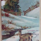 Kauriit joen rannalla, vuoren kupeessa, p. 1928 - pikkukuva 1