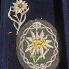 Natsi-Saksa: Alppijääkärien Edelweiss, kankainen hihamerkki - pikkukuva 1