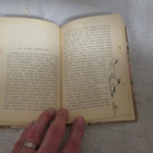 HOPEAKETUN ELÄMÄKERTA - ernest thompson seton ( 1.p v 1912 - pikkukuva 5