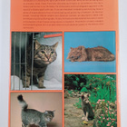 Grace Pond : Purnell's Pictorial Encyclopedia of Cats - pikkukuva 2