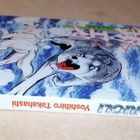 HOPEANUOLI 17/18 sisältää postikulut - pikkukuva 3