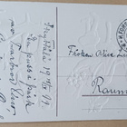 Kaikki lapset tulevat onnittelemaan pikkuveikkaa, p. 1911 - pikkukuva 2