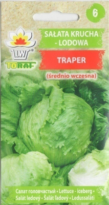 Jäävuorisalaatti siemenet - Traper #
