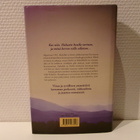 Khaled Hosseini : Ja vuoret kaikuivat - pikkukuva 2