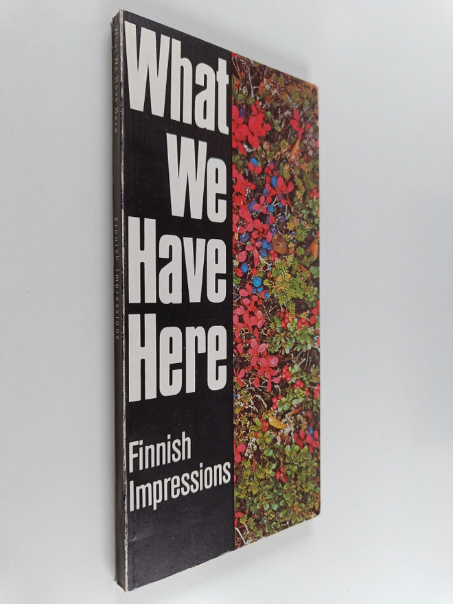 Erik Bruun : What we have here : Finnish impressions