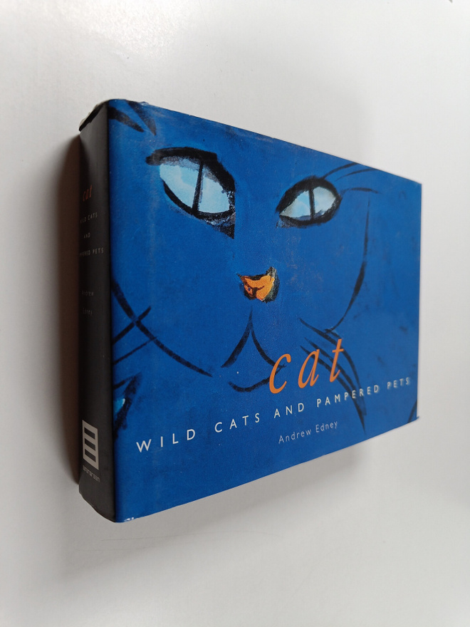 Andrew Edney : Cat : wild cats and pampered pets