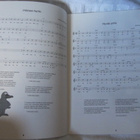 Salkkunan Suosikkilaulut 1990 - 1999 - pikkukuva 3