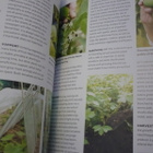 The Allotment Book - Andi Clevely - Uusi - pikkukuva 4