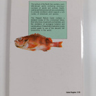 J. Moller Christensen : Fishes of the British and Norther... - pikkukuva 2