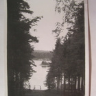 VANHA Valokuva Punkaharju 1930-l Kortin Alkup.Mallikappale - pikkukuva 1