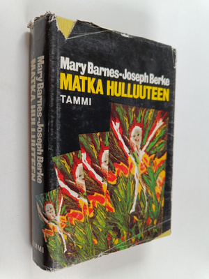 Mary Barnes : Matka hulluuteen