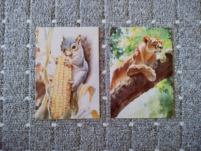 ~Eläin kortti~ 2kpl