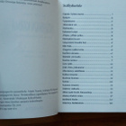 Lafcadio Hearn - Kwaidan & Intohimon karma kummitustarinoita - pikkukuva 5