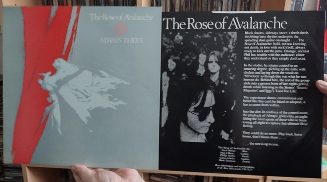 The Rose Of Avalanche – Always There (vinyyli LP)