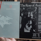 The Rose Of Avalanche – Always There (vinyyli LP) - pikkukuva 1