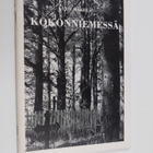 Leo Mäkelä : Kokonniemessä (signeerattu) - pikkukuva 1