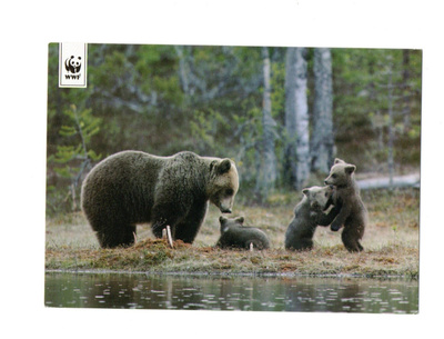 °°KARHU ja 3 PENTUA°° -KORTTI /WWF (Paletti)