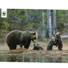 °°KARHU ja 3 PENTUA°° -KORTTI /WWF (Paletti) Kulkematon - pikkukuva 1