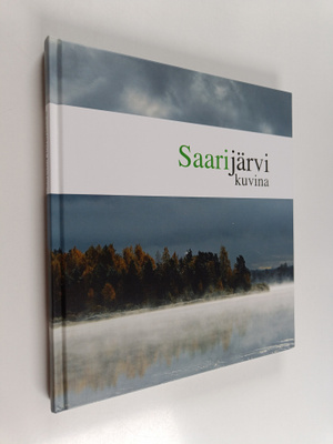 Saarijärvi kuvina