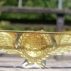 Kullanvärinen Ilmailumerkki. Halkaisija - 86 mm. Ehjä lukitu - pikkukuva 4