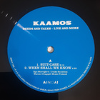 Kaamos - Deeds and Talks: Live and more 2LP Limited Edition  - pikkukuva 4