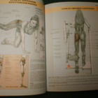 Delavier BELLE LIGNE ( 1 p. 2004 ) Sis.pk:t - pikkukuva 5