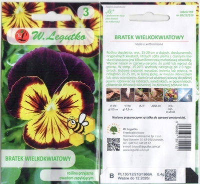 Orvokki "Viola x wittrockiana" siemenet #