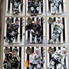 1998-99 Keräilysarja: TPS Turku x 9 korttia - pikkukuva 1