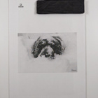 Landseer 4/02 - pikkukuva 2