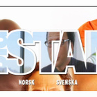 BIG STAN dvd 2007 harvinainen epäkorrekti komedia - pikkukuva 3