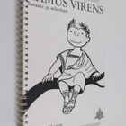 Tuomo Pekkanen : Ramus virens : Sanasto ja selitykset - pikkukuva 1