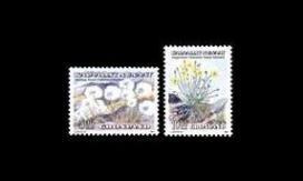 Grönlanti 197-8 ** Kukkia (1989)