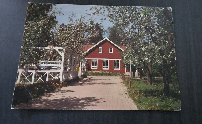 Isokokoinen  kulkematon postikortti, Tampere, Foto: PAAVO K.
