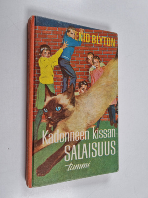 Kadonneen kissan salaisuus
