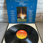 TAPANI KANSA: Rokkivaari Hotanen Lp levy - pikkukuva 3