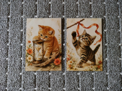 ~Kissa kortti~ 2kpl