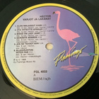 HECTOR / Varjot Ja Lakanat - pikkukuva 3