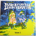 PSYCHEDELIC UNKNOWNS Volume 7 CD psych proge - pikkukuva 1