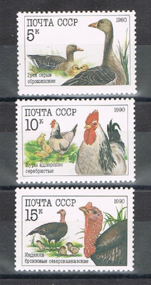 CCCP 1990 - Siipikarja  ++