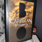 Bo Carpelan x3 Kulkeva varjo & Benjamin & Kesän varjo - pikkukuva 4
