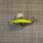 Salmo Hornet 4 vaappu. - pikkukuva 3