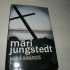 Jungstedt Aamun hämärissä -sid - pikkukuva 1