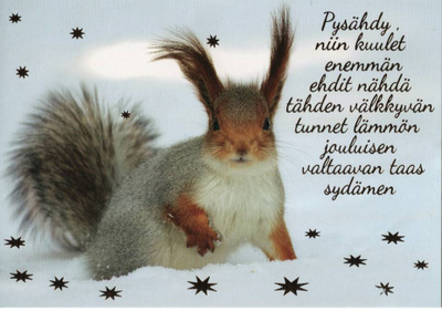 kortti **/° Orava - erilaisia valokuva- tai taidekortteja