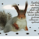 kortti **/° Orava - erilaisia valokuva- tai taidekortteja - pikkukuva 1