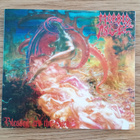Morbid Angel - Blessed Are The Sick - CD - pikkukuva 1